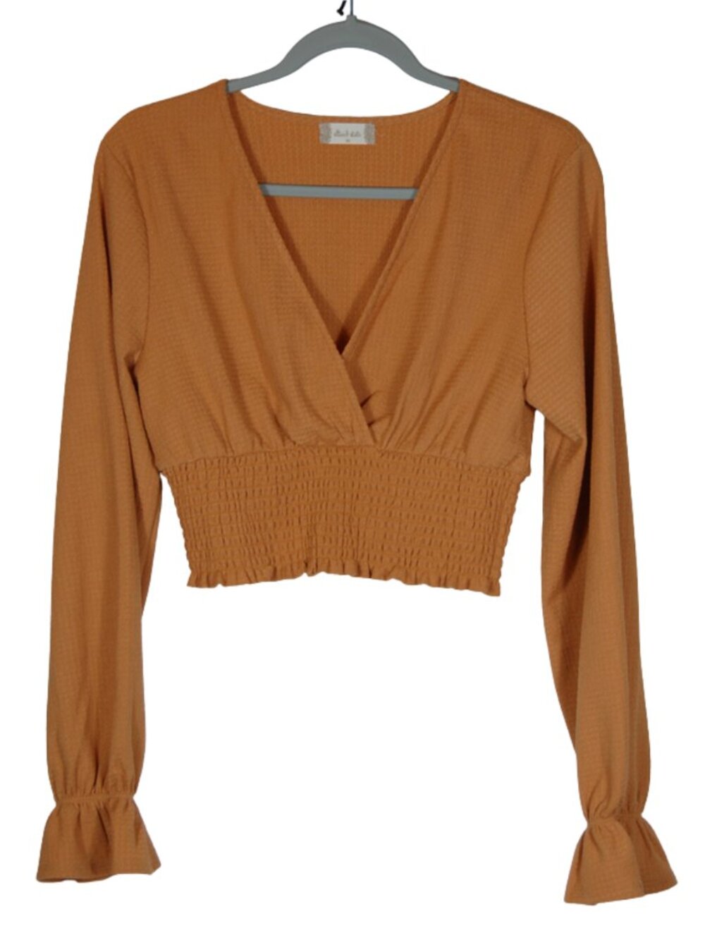 Altar'd State Smocked Waist Wrap Crop Top M Cinnamon Long Sleeve Boho Festival